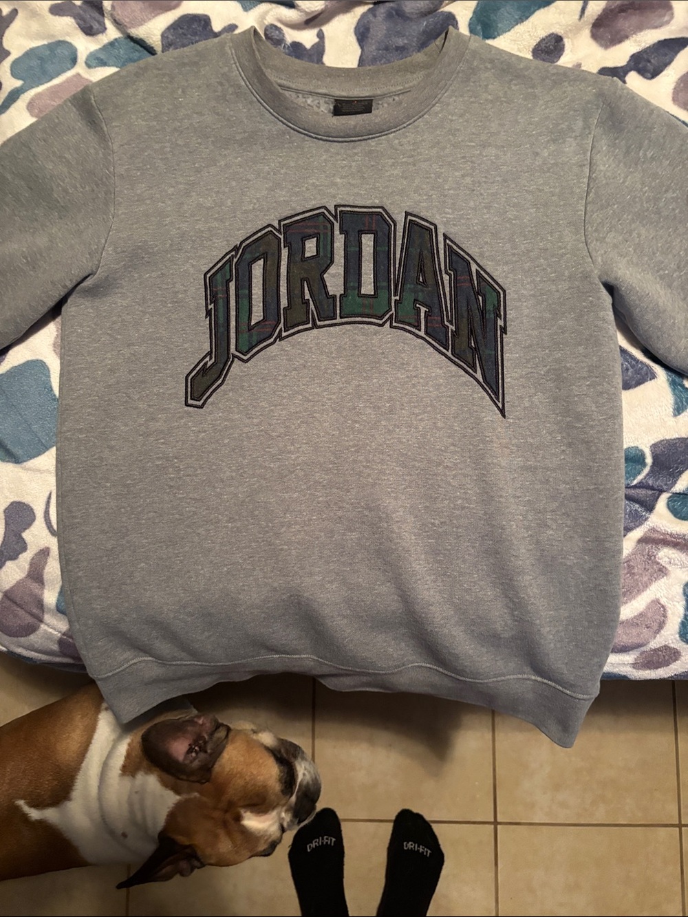 Jordan Light Gray Crewneck Sweatshirt with Arch Logo
